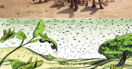 A ABSTINÊNCIA DE PROGRAMAS NEGATIVOS